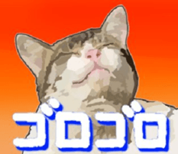 448588051