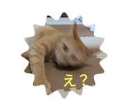 448626083