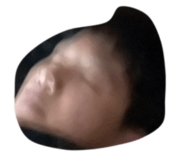 448635017