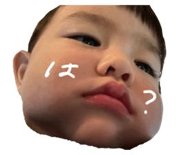 448653279