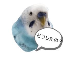 448654626
