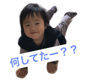 44866532