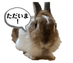 448690717