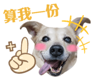 448784007