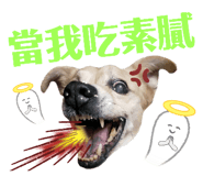 448784017