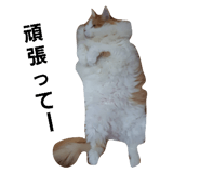 448789083