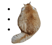 448789091