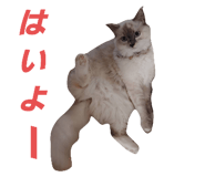 448789092