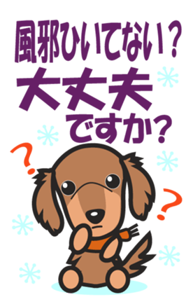 448813651