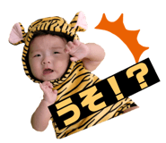 448860554