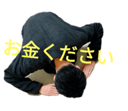 449066163