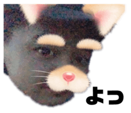 449139067
