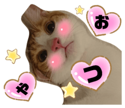 449154332