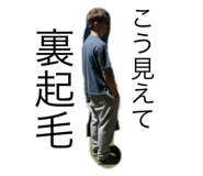 449154874