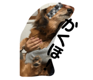 449169290