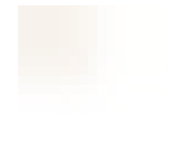 449169291