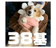 449179629