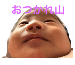 449184533