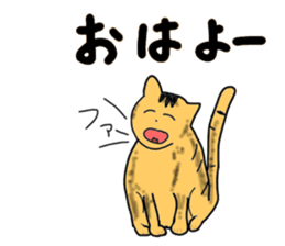 4492743