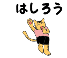 4492755