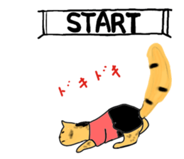 4492756