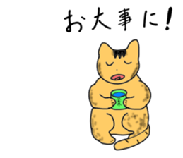 4492758