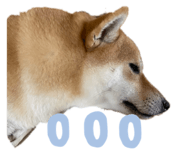 449289362