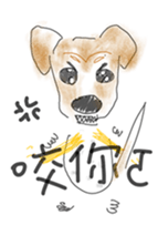 449325577