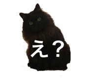 449340974