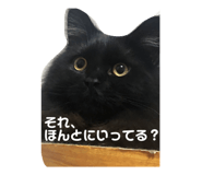 449340977