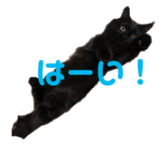 449340979