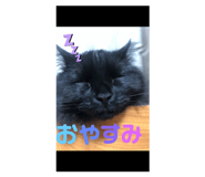449340980