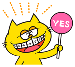 449366897