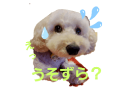 449394071