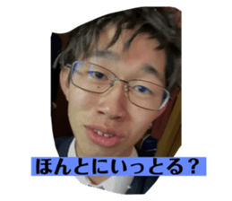 449406156