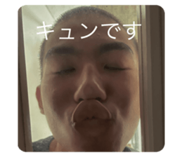 449423446