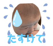 449434341