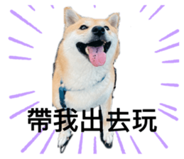 449446779