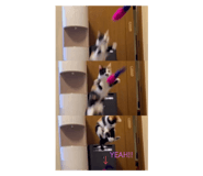 449453330