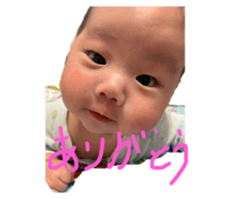 449544493