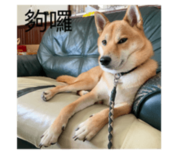 449549992