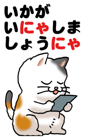 449557215