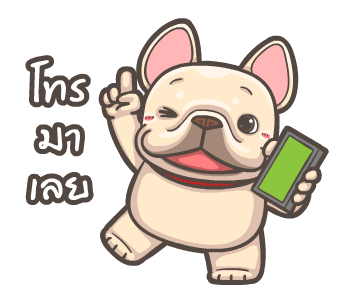 พิกุ - เฟรนช์ บูลด็อก 18 รูปที่ 2
