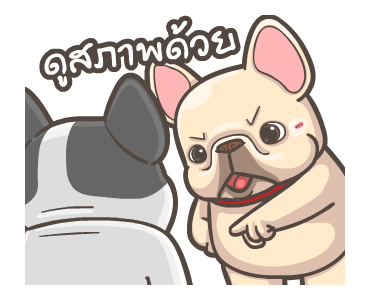 พิกุ - เฟรนช์ บูลด็อก 18 รูปที่ 4