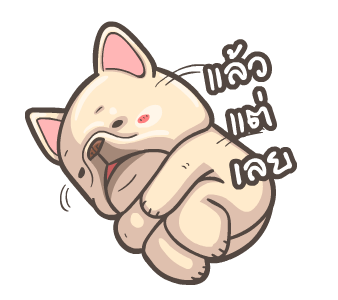 พิกุ - เฟรนช์ บูลด็อก 18 รูปที่ 17