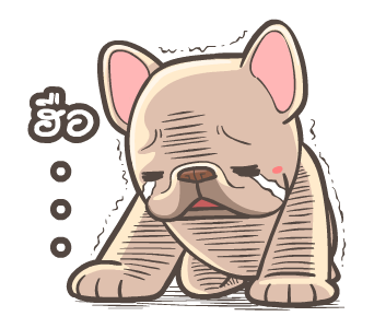 พิกุ - เฟรนช์ บูลด็อก 18 รูปที่ 21