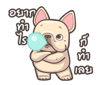 พิกุ - เฟรนช์ บูลด็อก 18 รูปที่ 23