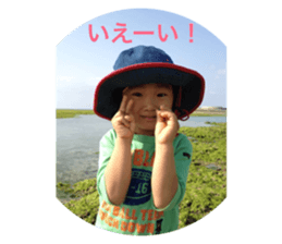 44963307