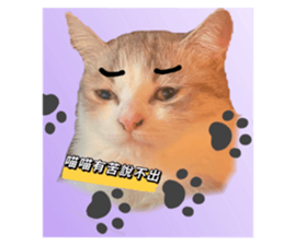 449634266