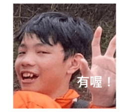 449706342